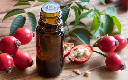Rosehip Blend for Oily Skin - Aromantic UK