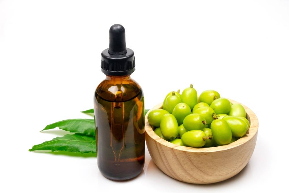 What Are the Benefits of Neem Oil? - Aromantic UK