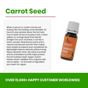 Carrot Seed Oil - Aromantic UK