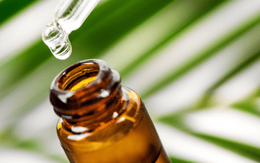 Guide to Glycerol Extracts - Aromantic UK