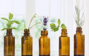 Your Ultimate Guide to Essential Oils