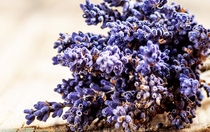 image of roman herbs for sensitive skin body wash