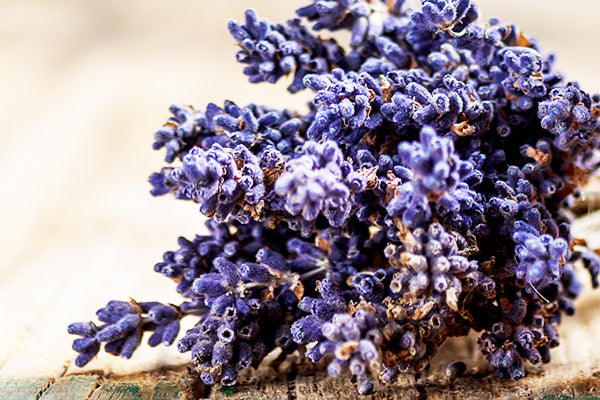 image of roman herbs for sensitive skin body wash