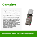 Camphor Essential Oil - Aromantic UK