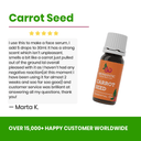 Carrot Seed Oil - Aromantic UK