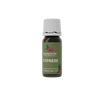 Cypress Essential Oil - Aromantic UK