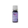 Lavender Spike Essential Oil - Aromantic UK