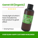 Organic Carrot Oil - Aromantic UK