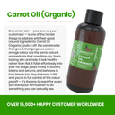 Organic Carrot Oil - Aromantic UK