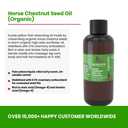 Organic Horse Chestnut Seed Oil - Aromantic UK