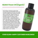 Organic Mullein Flower Oil - Aromantic UK