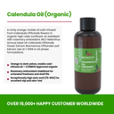 Calendula Oil (Organic) - intro