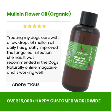 Mullein Flower Oil (Organic) - review