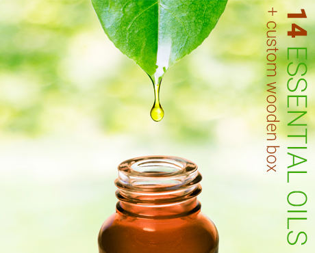 Aromatherapy Kit - 14 Essential Oils