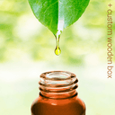 Aromatherapy Kit - 14 Essential Oils - Aromantic UK