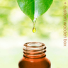 Aromatherapy Kit with 34 Essential Oils - Aromantic UK