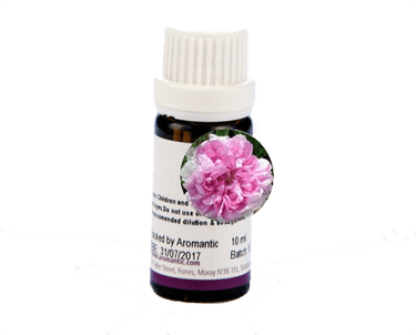 Rose de Mai Absolute - Aromantic UK